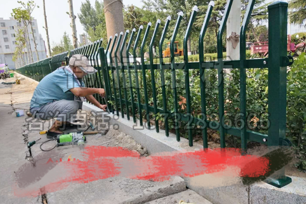 山東棗莊市城市綠化改造工程